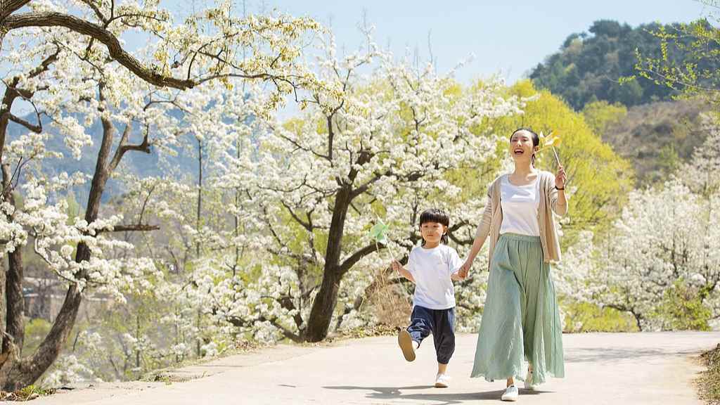 2025全国赏樱胜地推荐 花式玩法攻略 - 耀途希冀旅游网