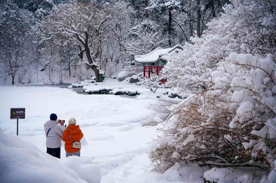 北京降雪引赏景热潮 公园全力护航游园体验 - 耀途希冀旅游网