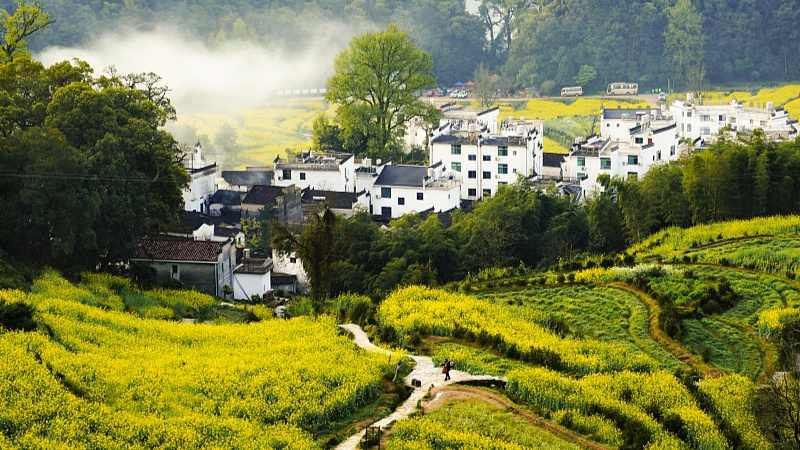 乡村旅游新热潮：乡土味与慢生活融合引爆乡村经济 - 耀途希冀旅游网
