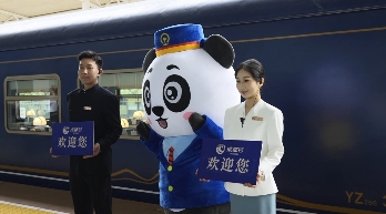 铁旅融合构建产业生态 高铁网络助力文旅升级(图1) 铁旅融合构建产业生态 高铁网络助力文旅升级(图1)