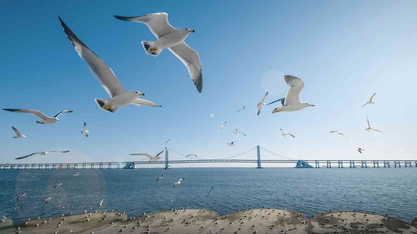 7月起离境退税政策实施新增大连市、湖北省 - 耀途希冀旅游网