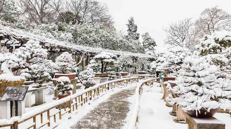 多元业态解锁消费新体验 冬季文旅市场焕发新活力 - 耀途希冀旅游网