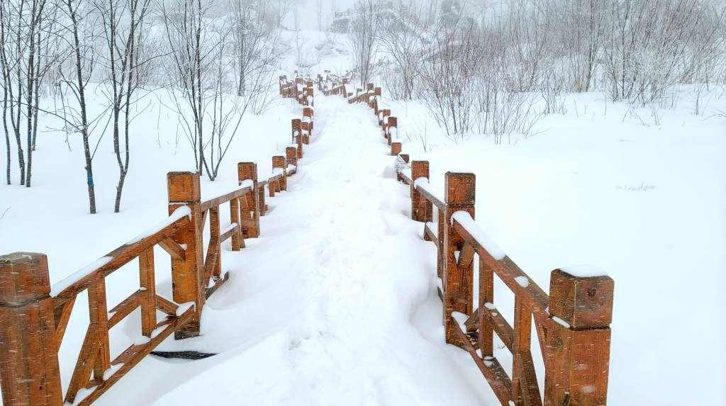 大雪真味 - 耀途希冀旅游网