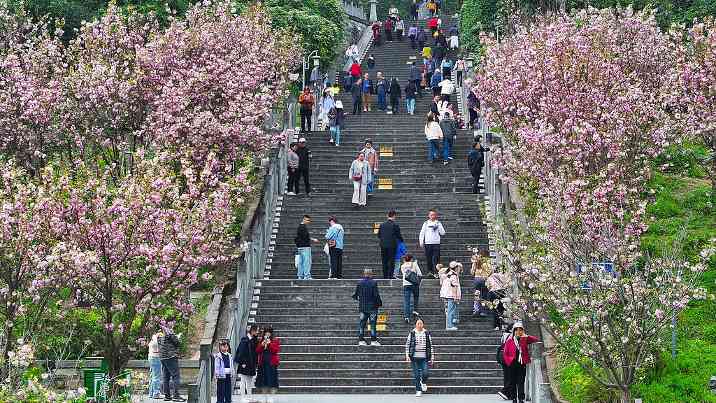文旅消费升级带动“春游热” - 耀途希冀旅游网