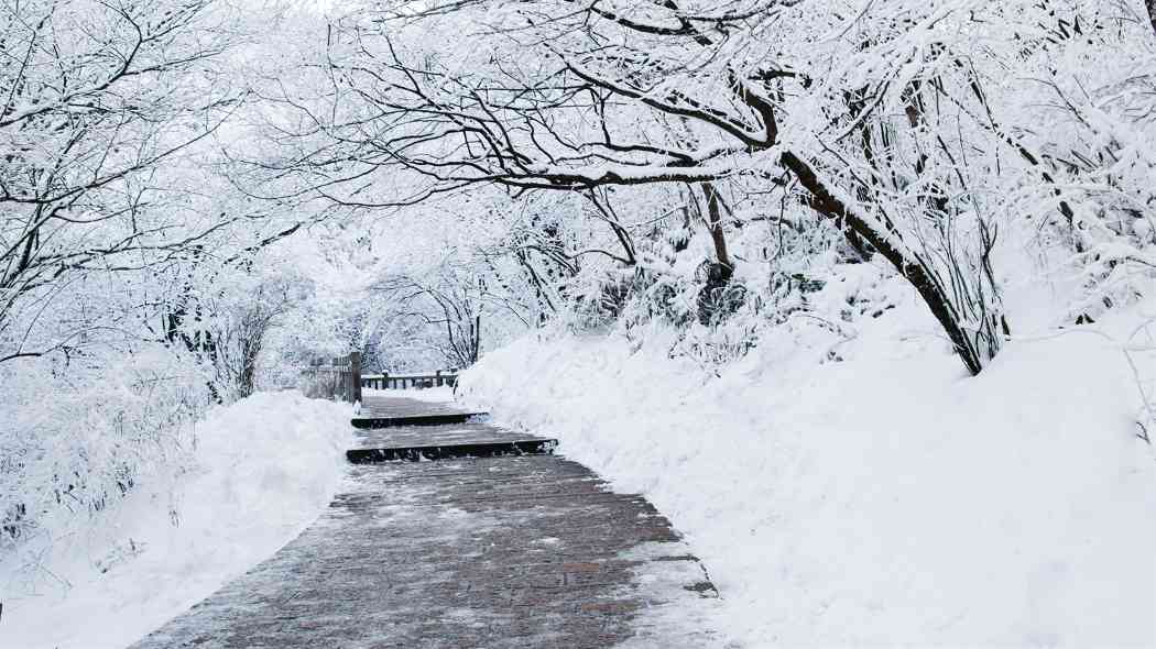 大雪 - 耀途希冀旅游网