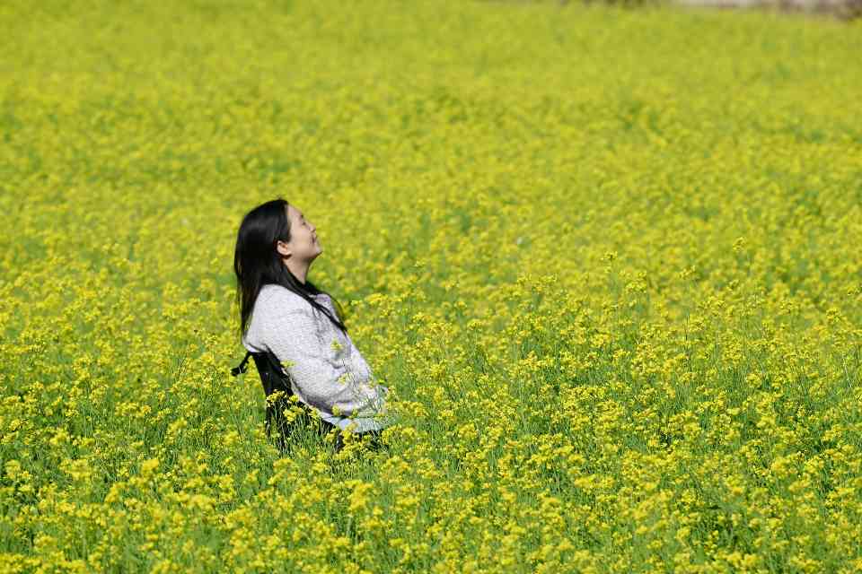 广西13条措施促消费和服务业开局稳 - 耀途希冀旅游网
