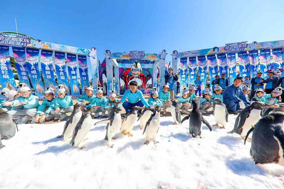 广东海洋旅游新体验:生态保护与多元娱乐深度融合(图2) 广东海洋旅游新体验:生态保护与多元娱乐深度融合(图2)