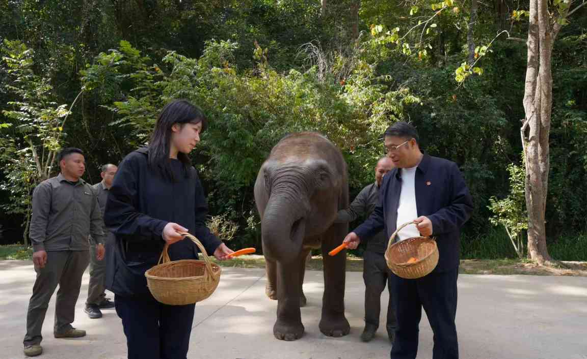 云南生态文旅发展路径:保护性开发与文化传承(图1) 云南生态文旅发展路径:保护性开发与文化传承(图1)