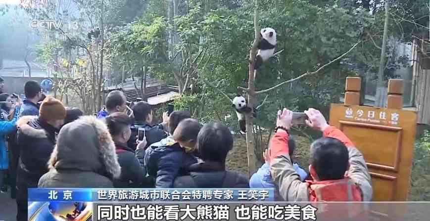 中国入境游迎来开门红 免签政策释放新红利(图4) 中国入境游迎来开门红 免签政策释放新红利(图4)