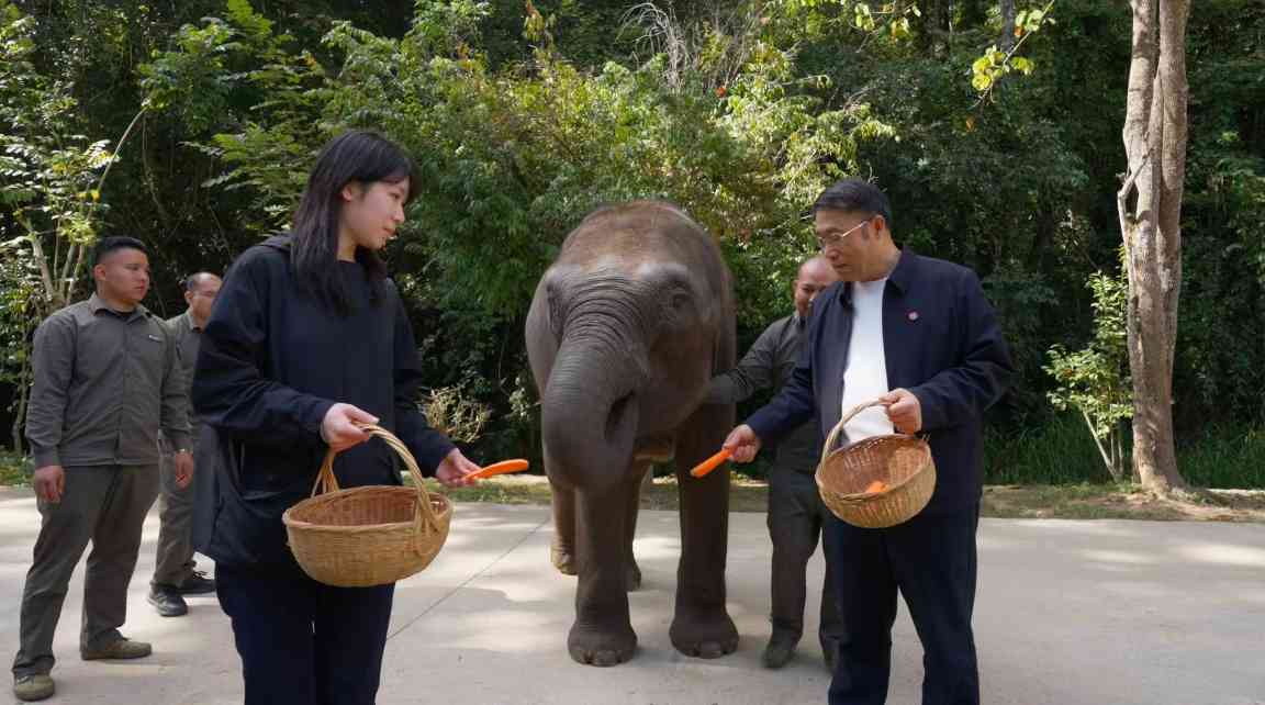 云南保护性开发文旅之路：生态文化双赢实践 - 耀途希冀旅游网