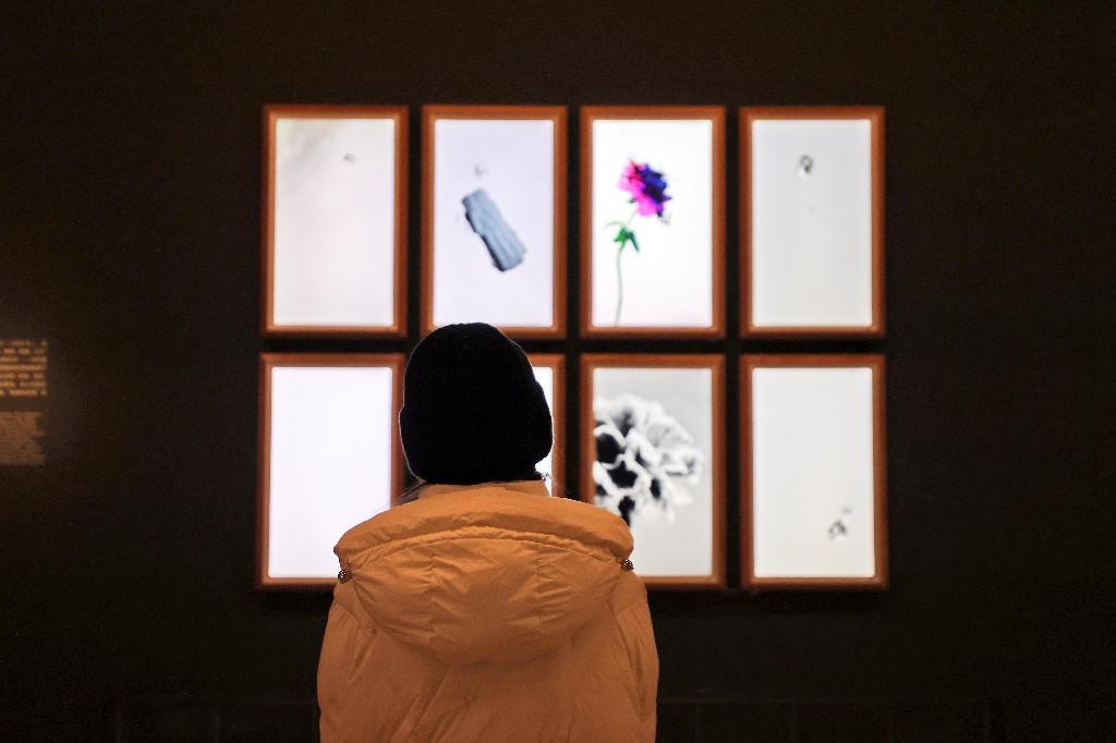 科技艺术融合新展呈现未来艺术可能性(图13) 科技艺术融合新展呈现未来艺术可能性(图13)