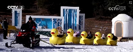 “冰雪+科考”“极寒躺冰” 特色玩法“上新”助力“冷”资源“热力全开”(图17)