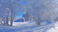 科技赋能 锻造冰雪经济新引擎 - 耀途希冀旅游网