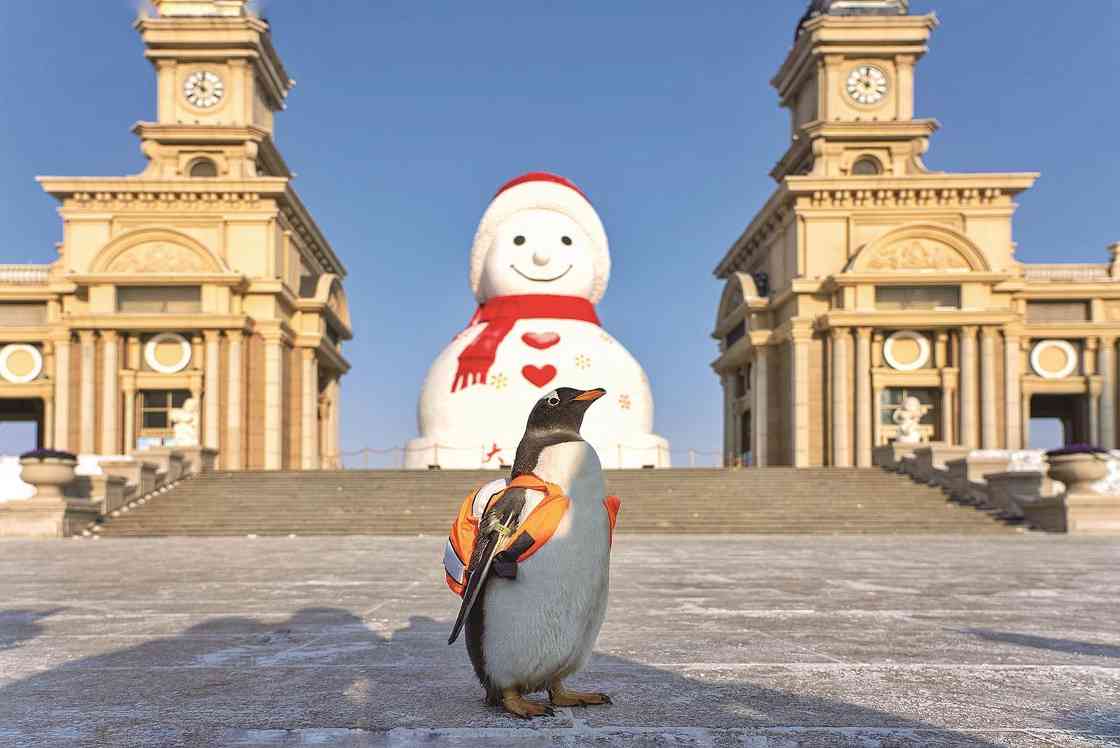 100天！“赏冰乐雪在龙江” - 耀途希冀旅游网