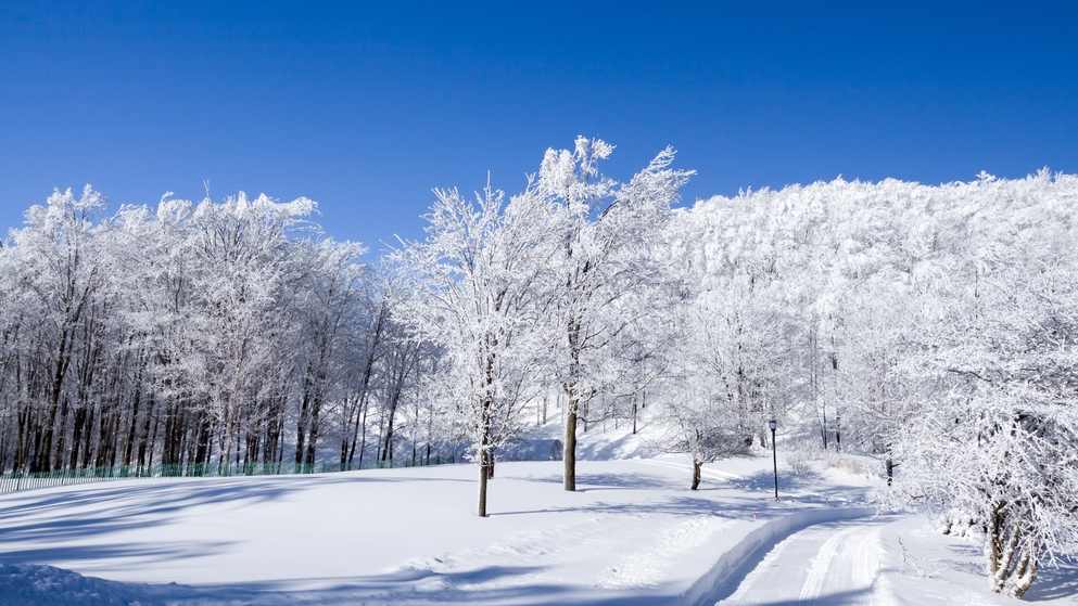 “雪假”落地，如何用好弹性休假实现“亲子同休”？ - 耀途希冀旅游网