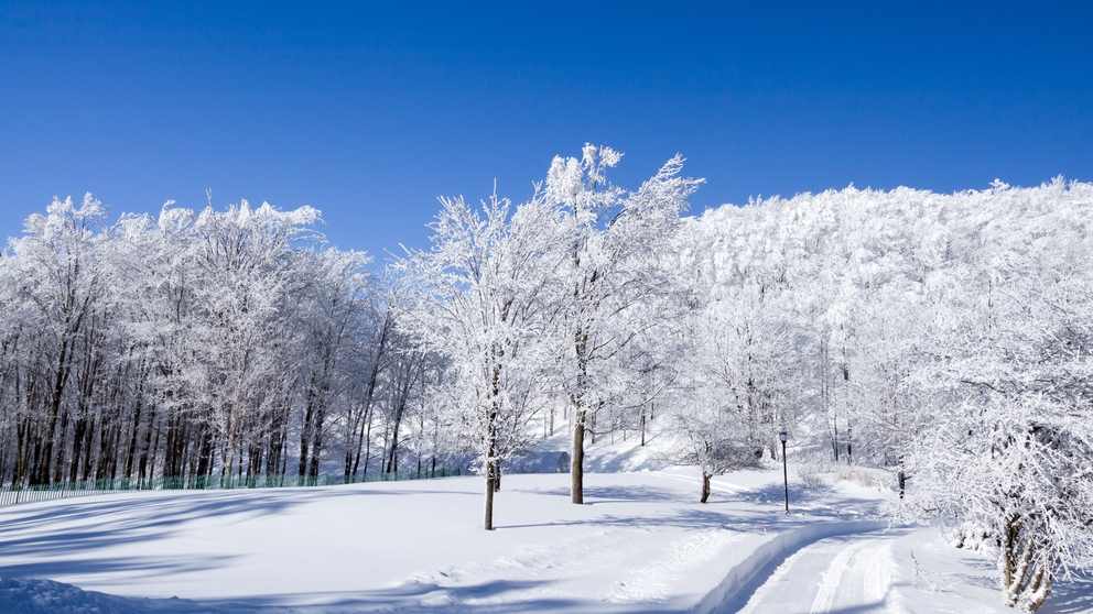 2026哈尔滨国际冰雪经济博览会开幕 - 耀途希冀旅游网