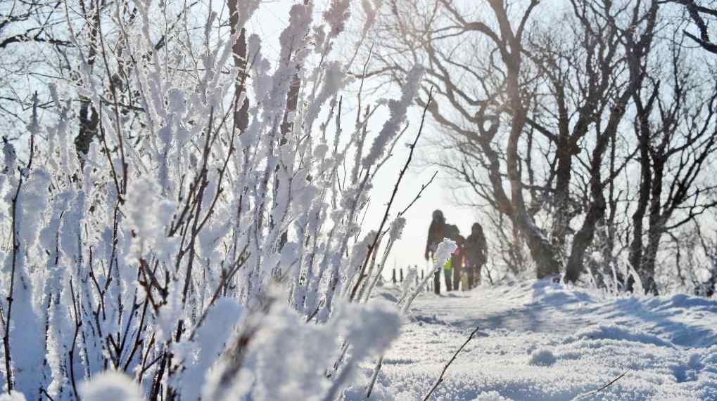冰雪旅游营销四大趋势：从卖资源到卖体验的升级之路 - 耀途希冀旅游网