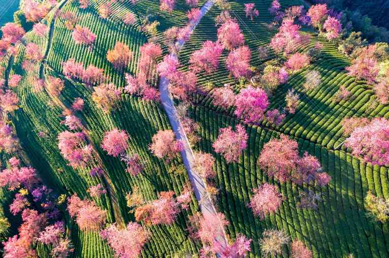 立春时节的传统习俗与现代文化传承深度解析 - 耀途希冀旅游网