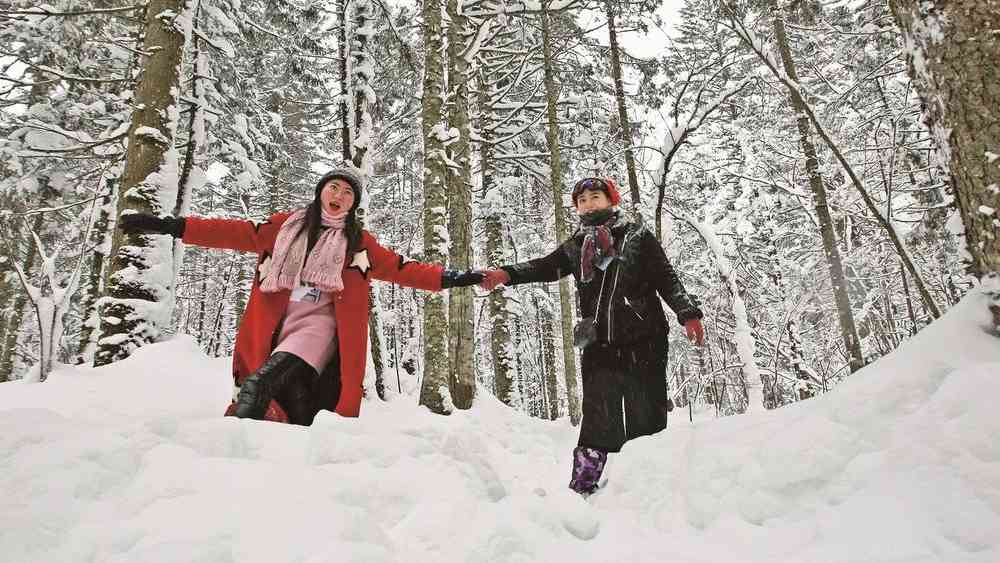 今冬冰雪旅游市场热度飙升 南方客群北上追雪成主流趋势 - 耀途希冀旅游网