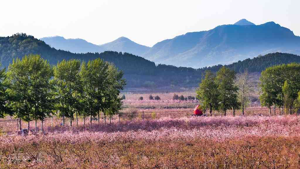青年艺术家深入乡村用艺术唤醒古老村落焕发新生机 - 耀途希冀旅游网