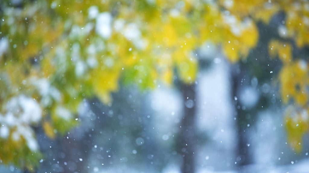 文化中国行・诗意节令｜小雪：晚来天欲雪，能饮一杯无？ - 耀途希冀旅游网