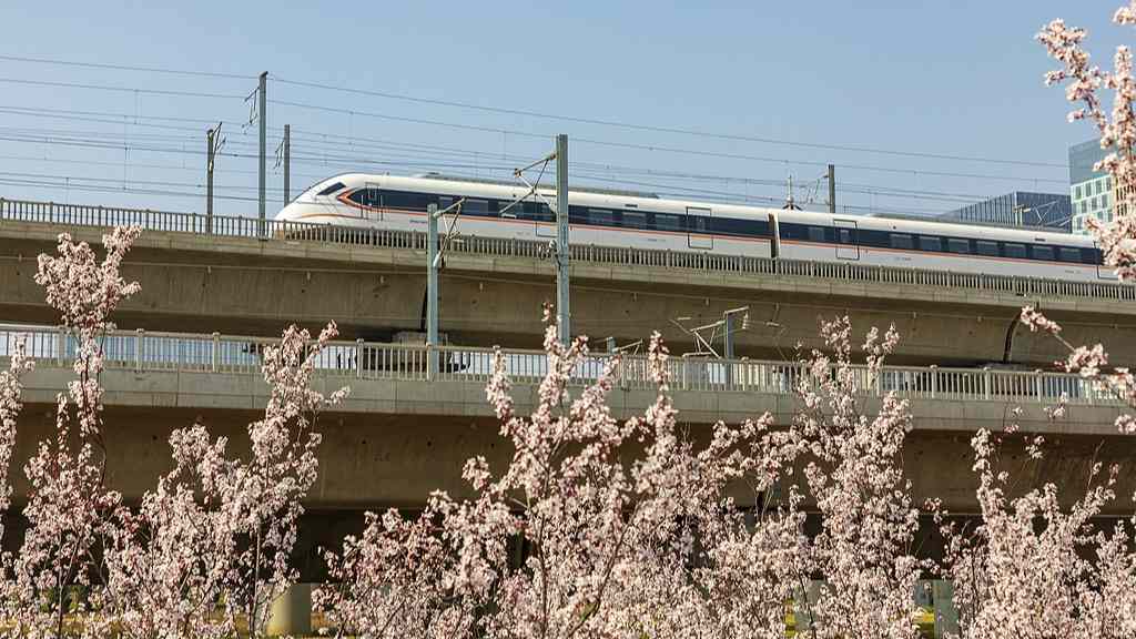 赏花经济：文旅融合下的产业升级新图景 - 耀途希冀旅游网