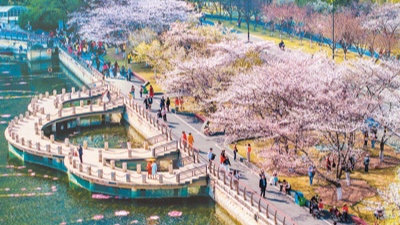 春日经济如何激活文旅消费新场景 - 耀途希冀旅游网