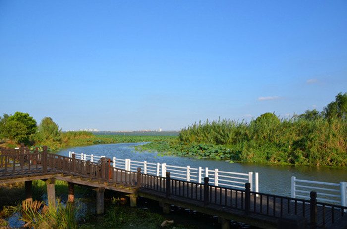 苏州阳澄湖莲花岛休闲游 让人心旷神怡的湖畔时光(图2)