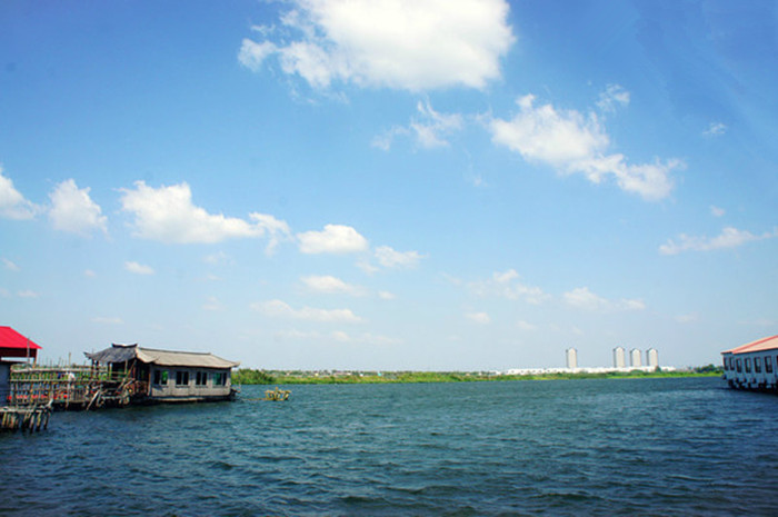 春日漫步阳澄湖莲花岛 油菜花海与湖鲜盛宴(图2)