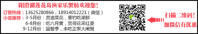 苏州阳澄湖莲花岛赏花指南 江南春日湖景漫游(图1)