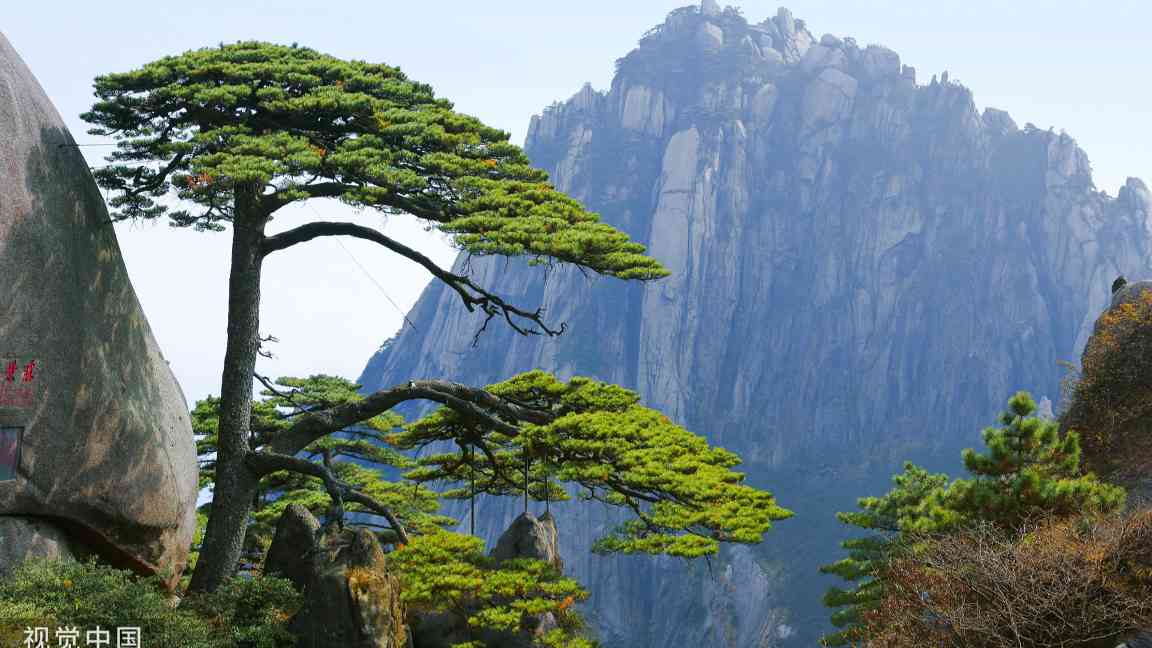 文旅部暗访通报：多地景区安全隐患亟待整改 - 耀途希冀旅游网