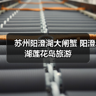 阳澄湖莲花岛大闸蟹美食之旅 体验原生态渔家乐趣(图4)