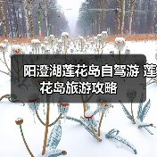 阳澄湖莲花岛自驾游攻略 私享宁静与湖鲜美味之旅 - 耀途希冀旅游网