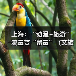 上海:“动漫+旅游” 流量变“留量”(文旅新象)(图2) 上海:“动漫+旅游” 流量变“留量”(文旅新象)(图2)