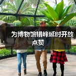 为博物馆错峰延时开放点赞(图3) 为博物馆错峰延时开放点赞(图3)