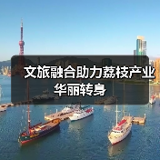 文旅融合助力荔枝产业华丽转身 - 耀途希冀旅游网