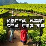 价格降三成、五星酒店变三星，研学游“退烧” - 耀途希冀旅游网