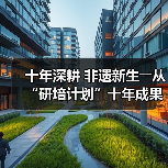 十年深耕 非遗新生――从“研培计划”十年成果展看非遗传承的探索与突破(图3) 非遗传承新路径:研培计划助力传统技艺与现代融合(图3)
