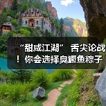 端午粽子甜咸之争：新奇口味与健康理念引领消费趋势(图4)