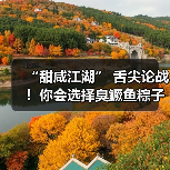 端午粽子甜咸之争：新奇口味与健康理念引领消费趋势 - 耀途希冀旅游网