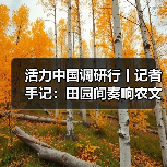 活力中国调研行丨记者手记：田园间奏响农文旅交响曲 - 耀途希冀旅游网