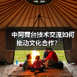 中阿舞台技术交流如何推动文化合作？(图4)