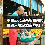 中医药文旅新场景如何引爆入境游消费热潮(图2) 中医药文旅新场景如何引爆入境游消费热潮(图2)