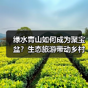 绿水青山如何成为聚宝盆?生态旅游带动乡村振兴新路径(图3) 绿水青山如何成为聚宝盆?生态旅游带动乡村振兴新路径(图3)