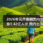 元旦假期文旅市场消费活力如何？数据揭示出游趋势(图2)