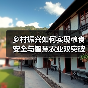 乡村振兴如何实现粮食安全与智慧农业双突破?(图4) 乡村振兴如何实现粮食安全与智慧农业双突破?(图4)