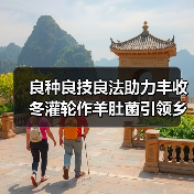 良种良技良法助力丰收 冬灌轮作羊肚菌引领乡村振兴新路径 - 耀途希冀旅游网