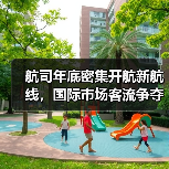 航司年底密集开航新航线，国际市场客流争夺战打响 - 耀途希冀旅游网
