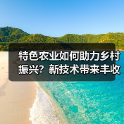 特色农业如何助力乡村振兴？新技术带来丰收新可能(图4)