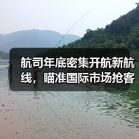 多家航司密集开航国际航线，元旦出游如何选择？(图3)